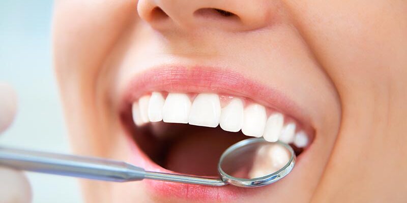 Wofür sind die Backenzähne eigentlich da?